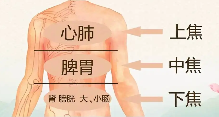 夏秋之交“濕氣”最盛，中醫(yī)教您護(hù)好7個(gè)部位(圖4)