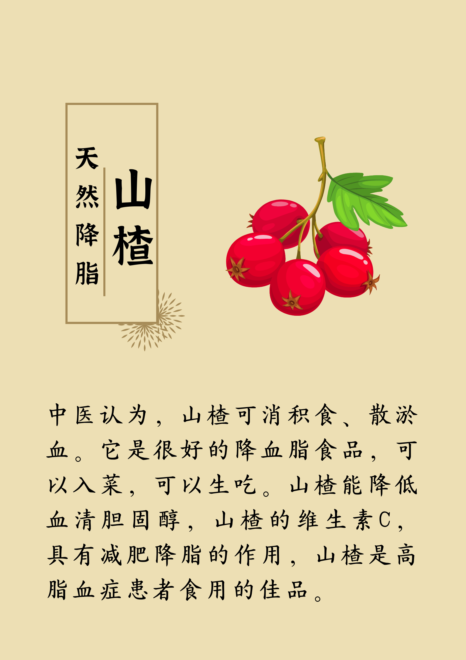 藥補不如食補：有19種“天然養(yǎng)生食材”，建議您收藏(圖9)