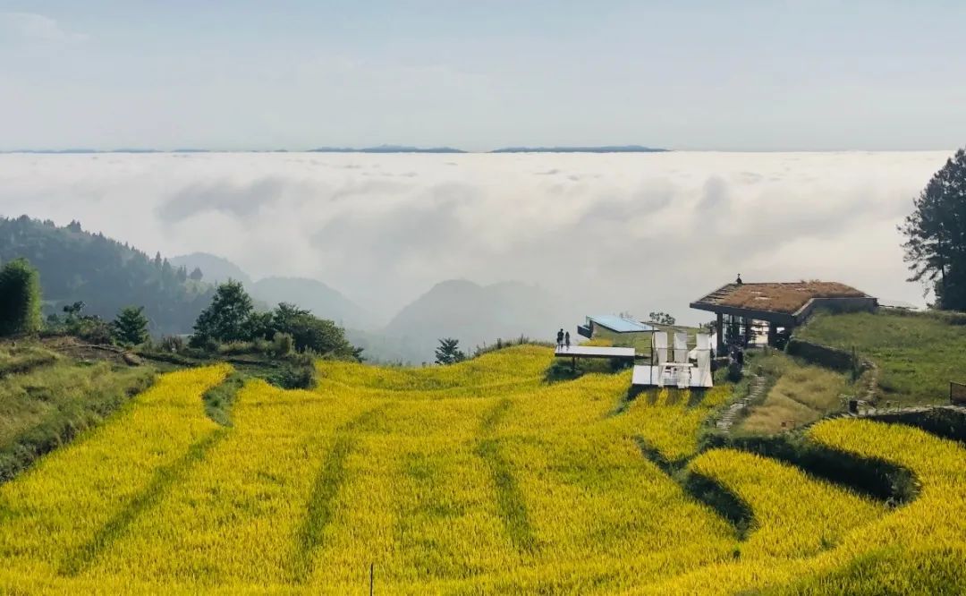 史上罕見(jiàn)“黃金周”，文旅冰火兩重天(圖2)