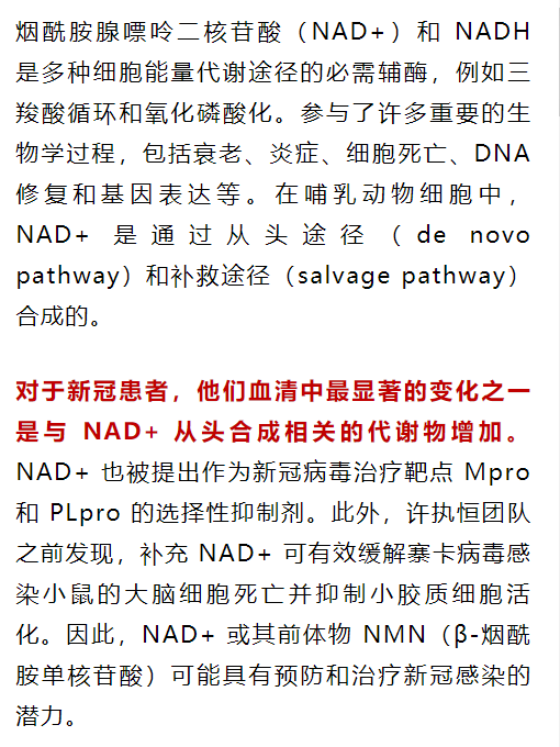 許執(zhí)恒、秦成峰、胡澤平醫(yī)學(xué)團隊研究表明：NAD+/NMN可治療新冠病毒(圖1)