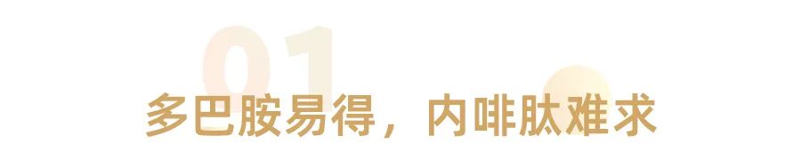 少年只知多巴胺，中年才懂內(nèi)啡肽(圖1)