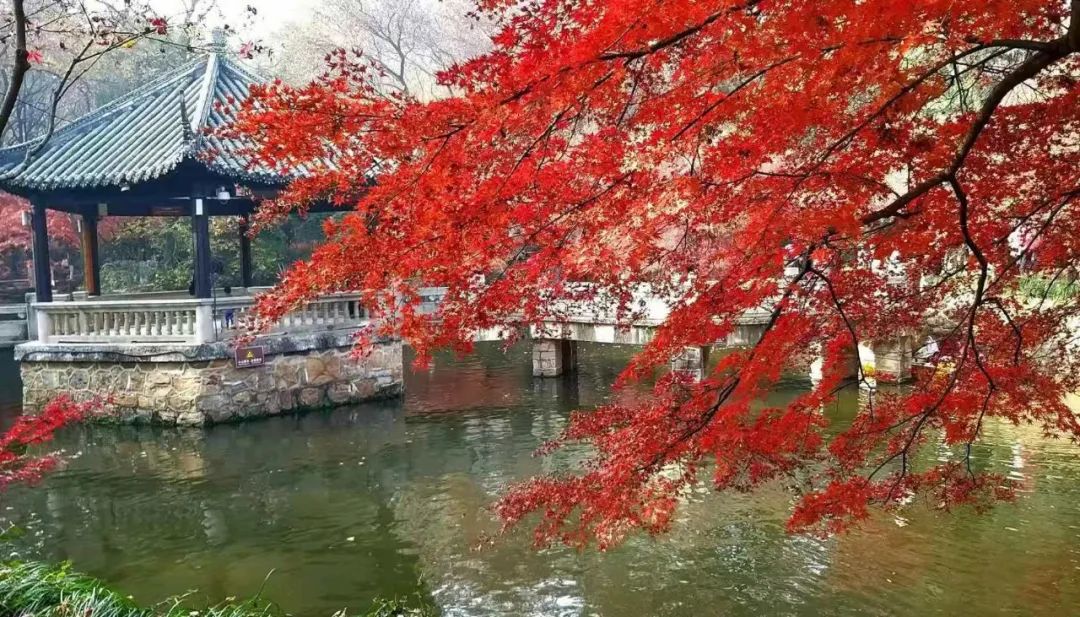 疾病是假象，心態(tài)更重要(圖2)