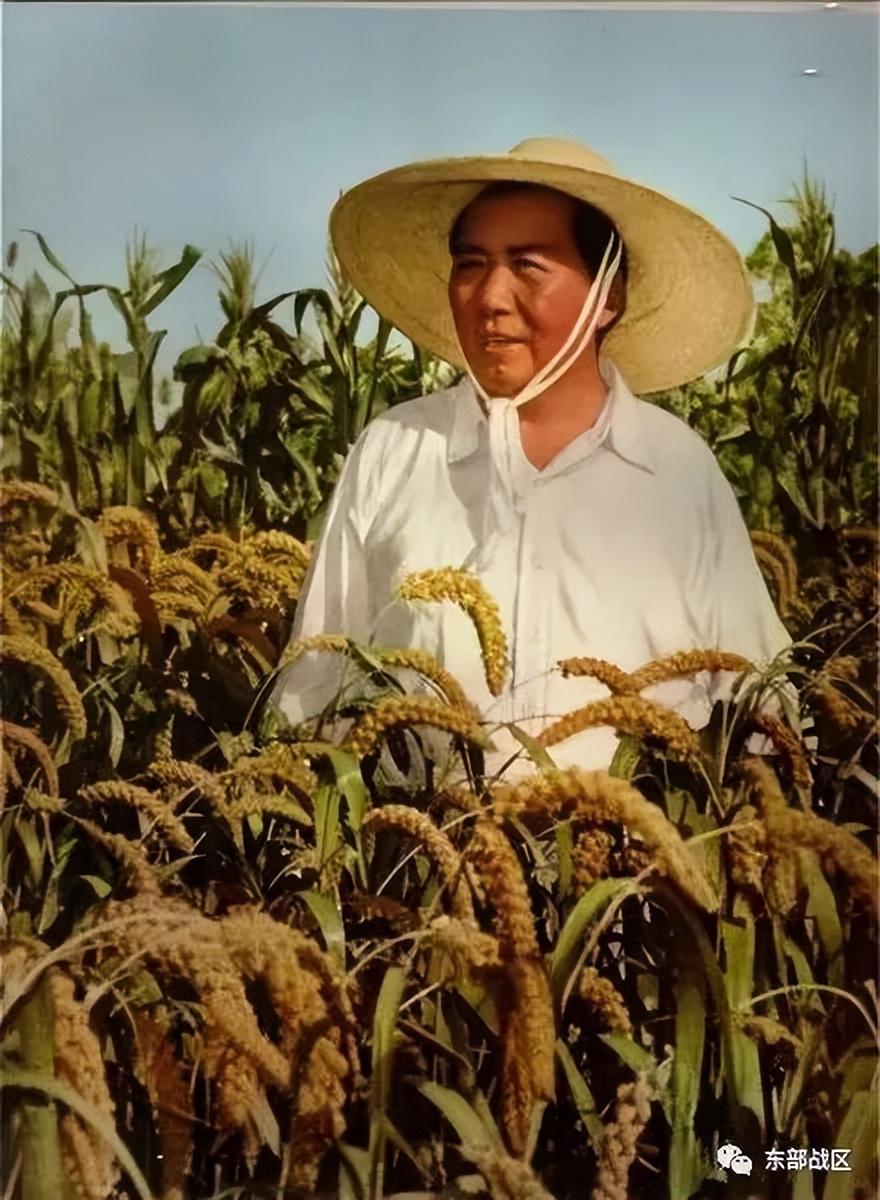 今天，我們一起緬懷敬愛的毛主席(圖19)