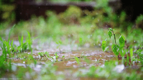 雷雨云團(tuán)過(guò)境，北京天空現(xiàn)壯觀弧狀云(圖8)