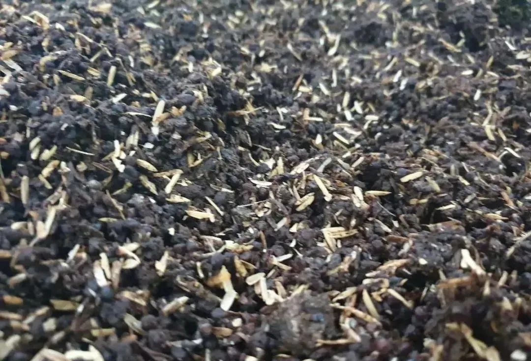 稻殼1.jpg 為什么要在白酒生產(chǎn)中大量使用稻殼(圖2)