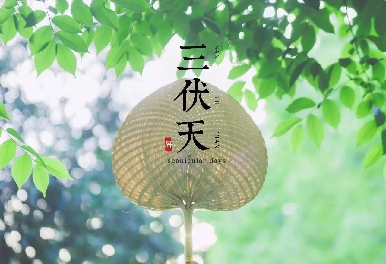 “入伏三不做，一年病不沾”，7月11日入伏，3不做分別指什么？(圖1)