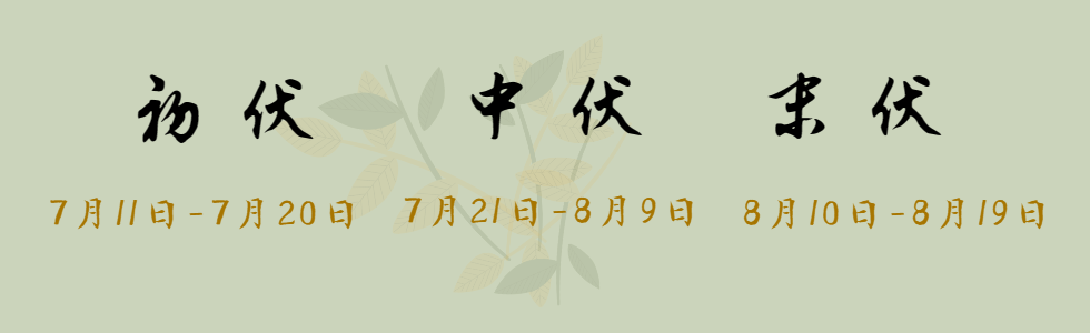 三伏天如何養(yǎng)生？(圖2)