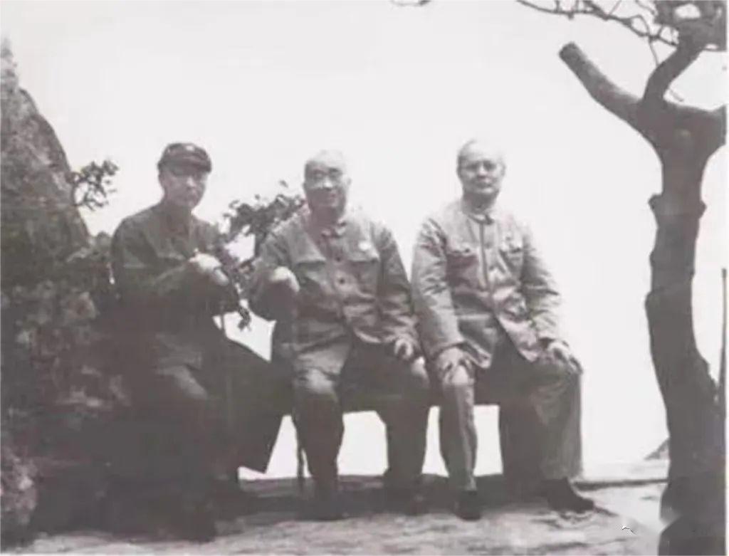 四大元帥當(dāng)了大都市市長，另外六大元帥去哪了？(圖8)
