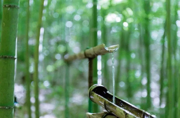 后半生最好的活法：一半在藏，一半在露(圖3)