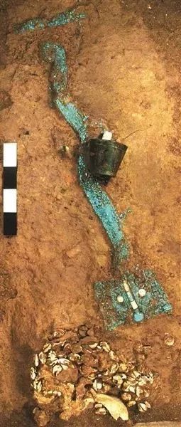 河南出土3700年前的“綠龍”，真正的“中國龍”(圖3)