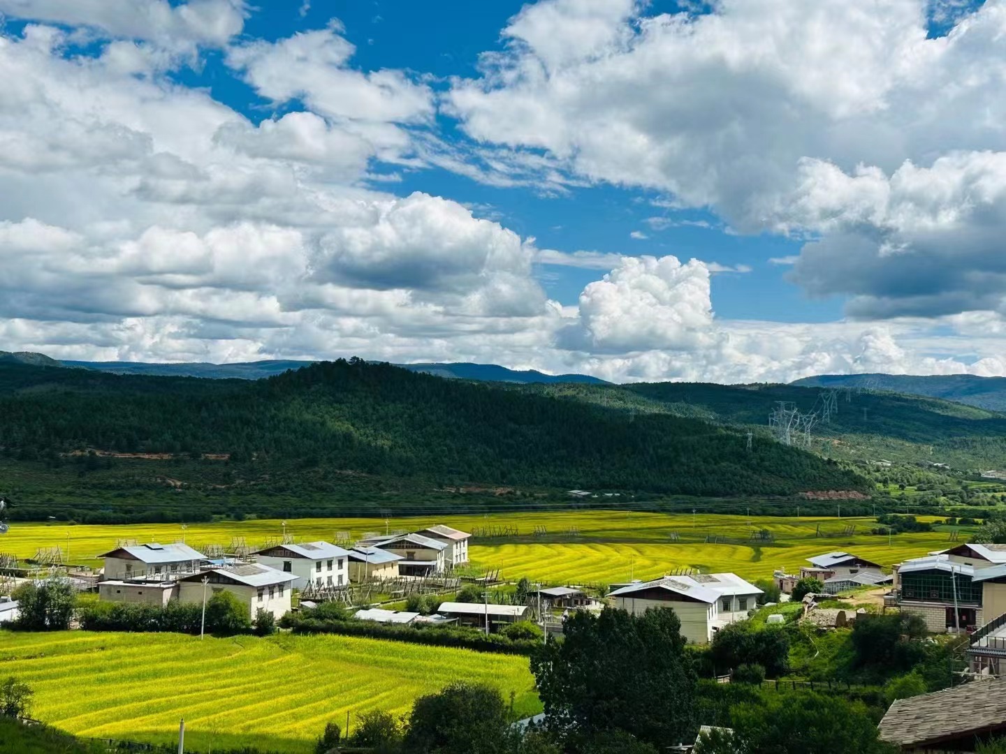 夏天的青藏高原，美景宛如歐洲(圖1)