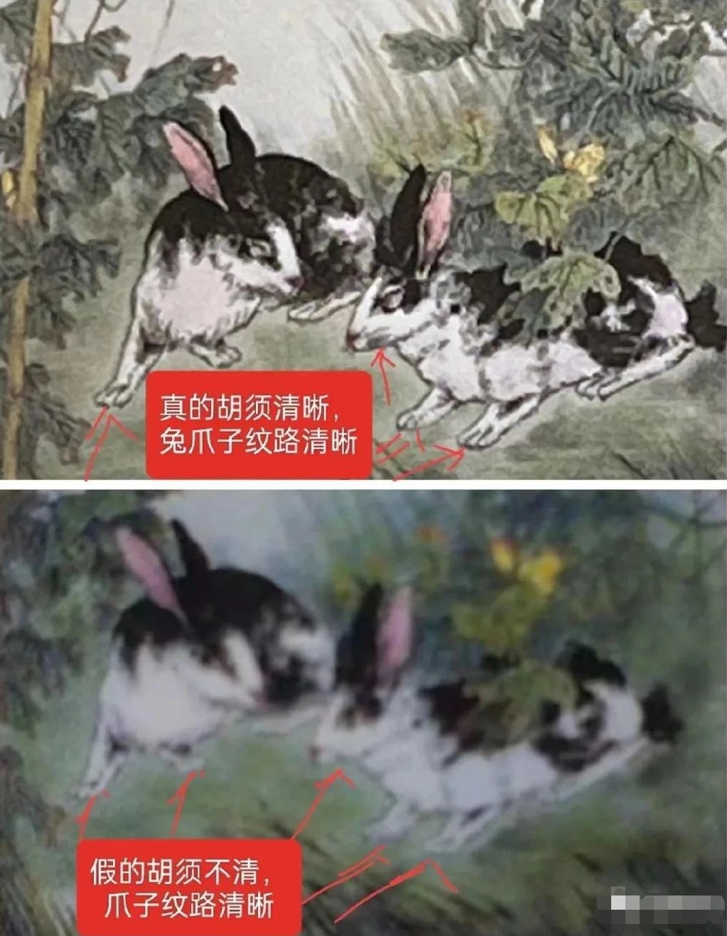 教您識別真假兔年茅臺(圖4) 教您識別真假兔年茅臺(圖4)