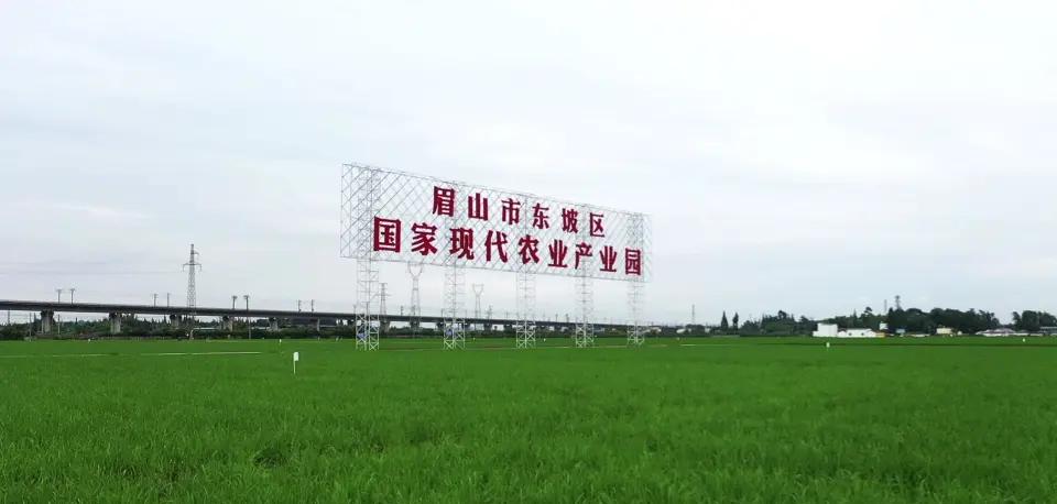 時(shí)政新聞眼丨習(xí)近平赴四川陜西考察，足跡之中飽含深意(圖15)
