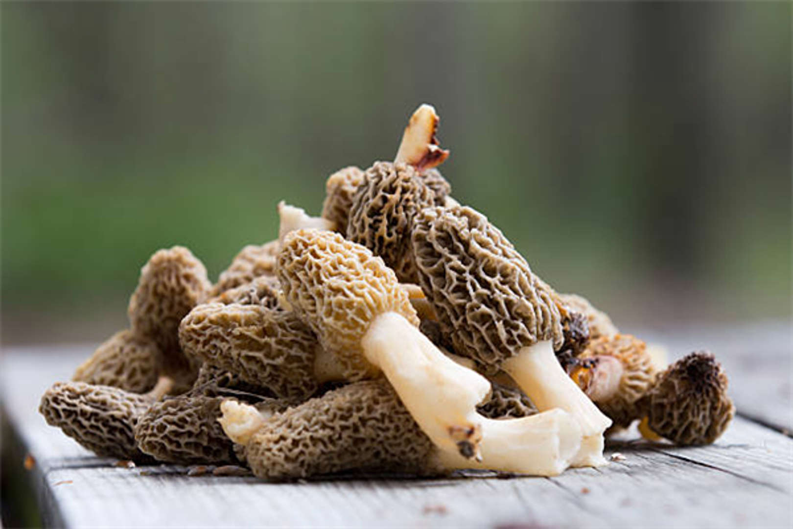 網(wǎng)友用AI還原吃菌子中毒后的世界 網(wǎng)友：光怪陸離 匪夷所思(圖1)