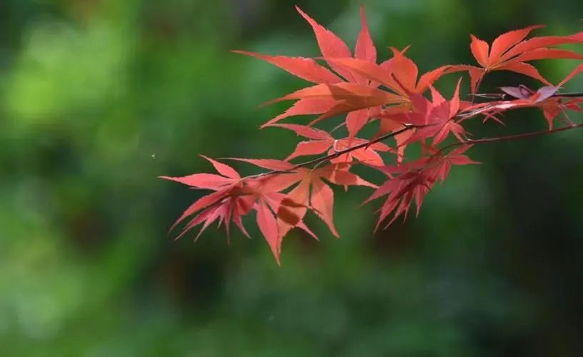致敬中年(圖3)