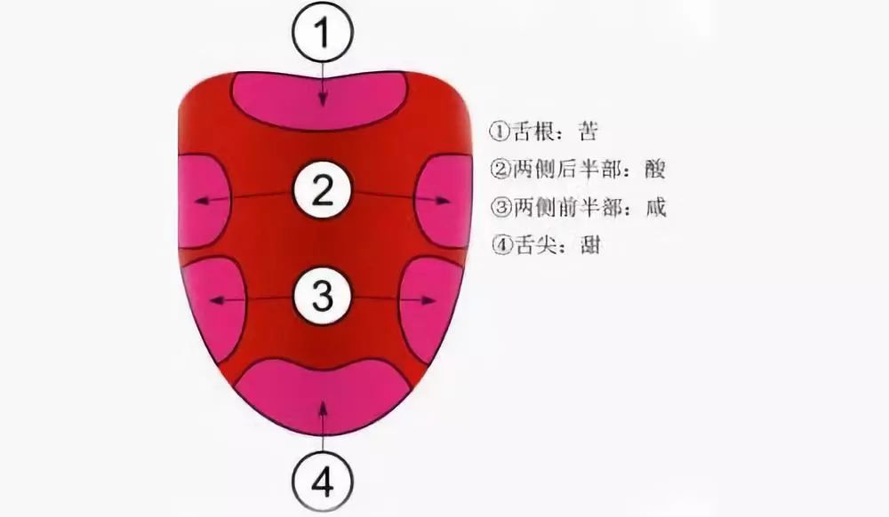 白酒喝起來有苦味，究竟是什么原因？(圖9)