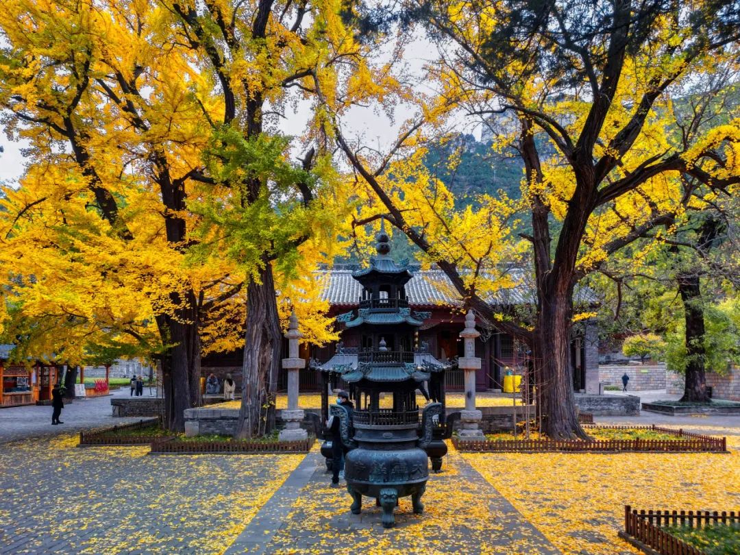 古今最深情的秋日詩，入選小學(xué)課本，看到結(jié)尾打動無數(shù)人(圖1)