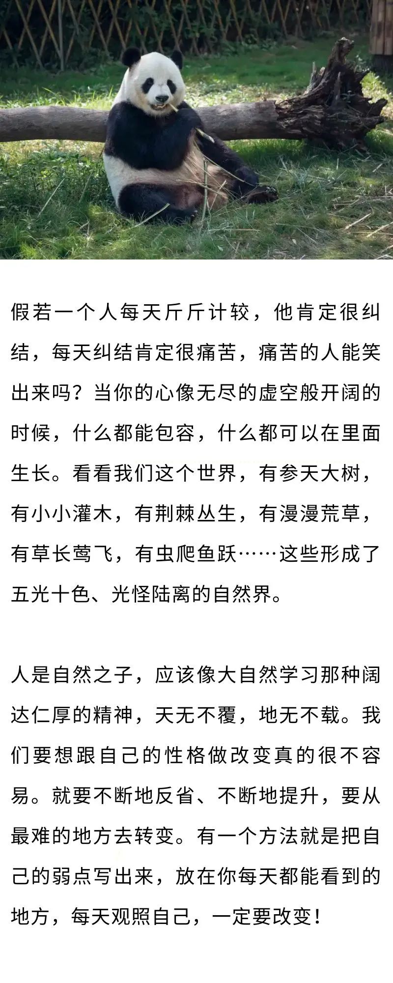 不計(jì)較，才是真正的愛自己(圖1)