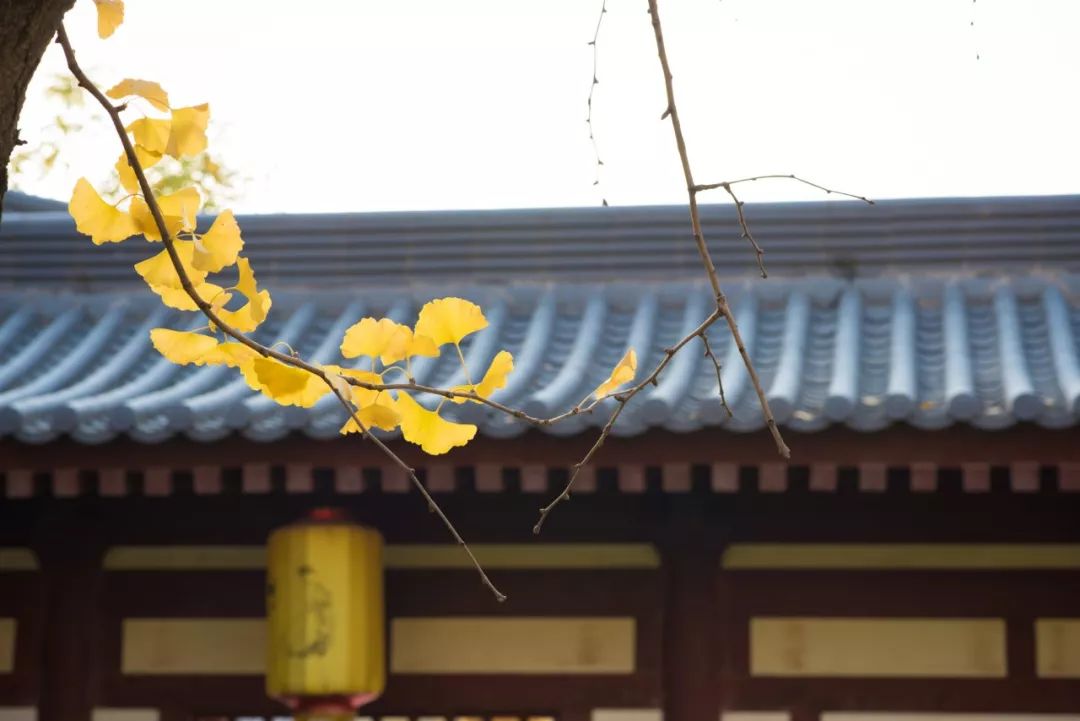 蘇軾：青年時看遠，中年時看開，老年時看淡(圖4)