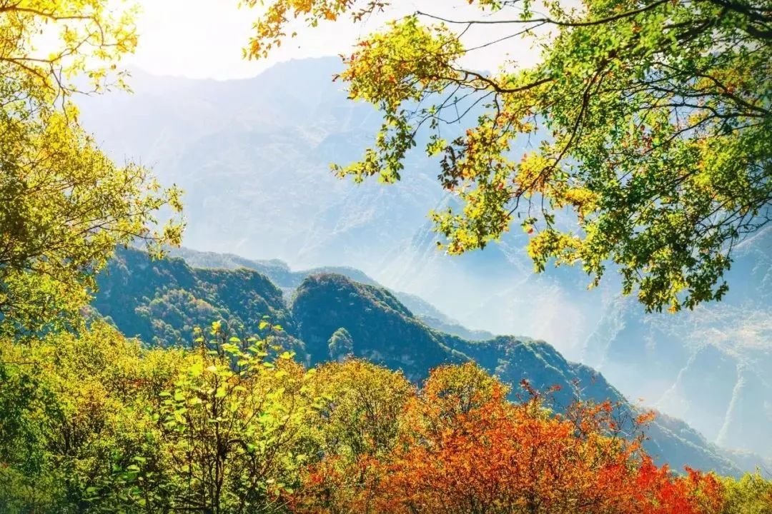 毛澤東詩詞里的秋天，大氣磅礴，何等壯美！(圖3)