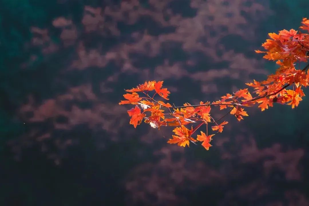 毛澤東詩詞里的秋天，大氣磅礴，何等壯美！(圖4)