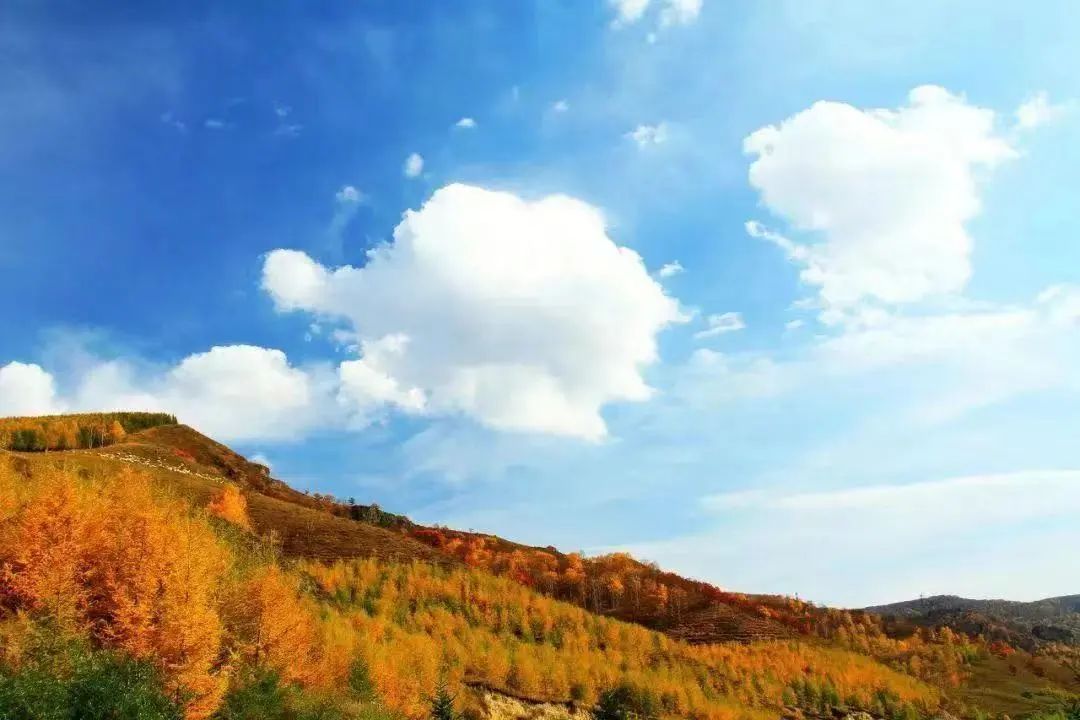 毛澤東詩詞里的秋天，大氣磅礴，何等壯美！(圖5)