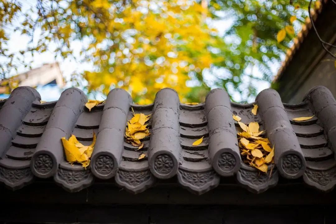 今日秋分，寒氣漸重，這幾個養(yǎng)生宜忌，你一定要知道(圖2)