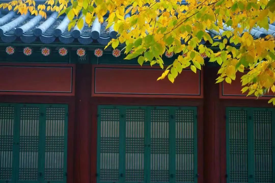毛澤東詩詞里的秋天，大氣磅礴，何等壯美！(圖8)