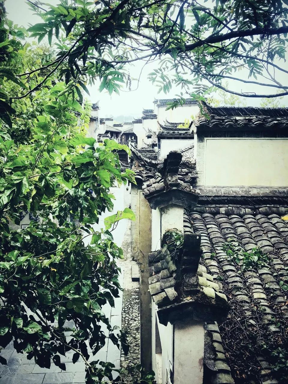 中國最美的50個古村鎮(zhèn)，美到極致！(圖26)
