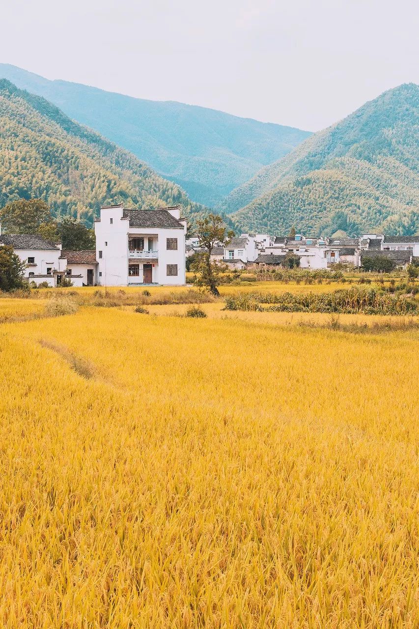 中國最美的50個古村鎮(zhèn)，美到極致！(圖28)