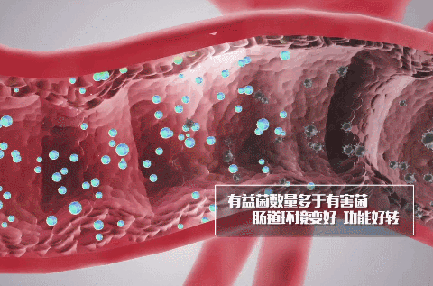 43萬人追蹤研究：主食吃得少，壽命長不了(圖2)