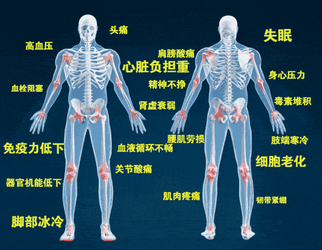 秋之時(shí)節(jié)，養(yǎng)生健脾，護(hù)陽(yáng)氣(圖4)