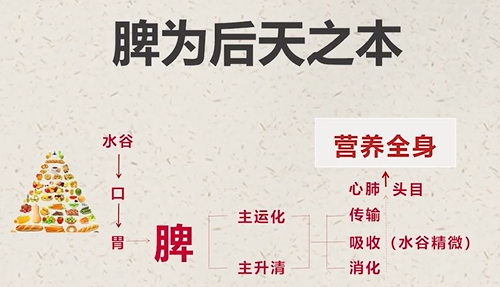 秋之時(shí)節(jié)，養(yǎng)生健脾，護(hù)陽(yáng)氣(圖3)