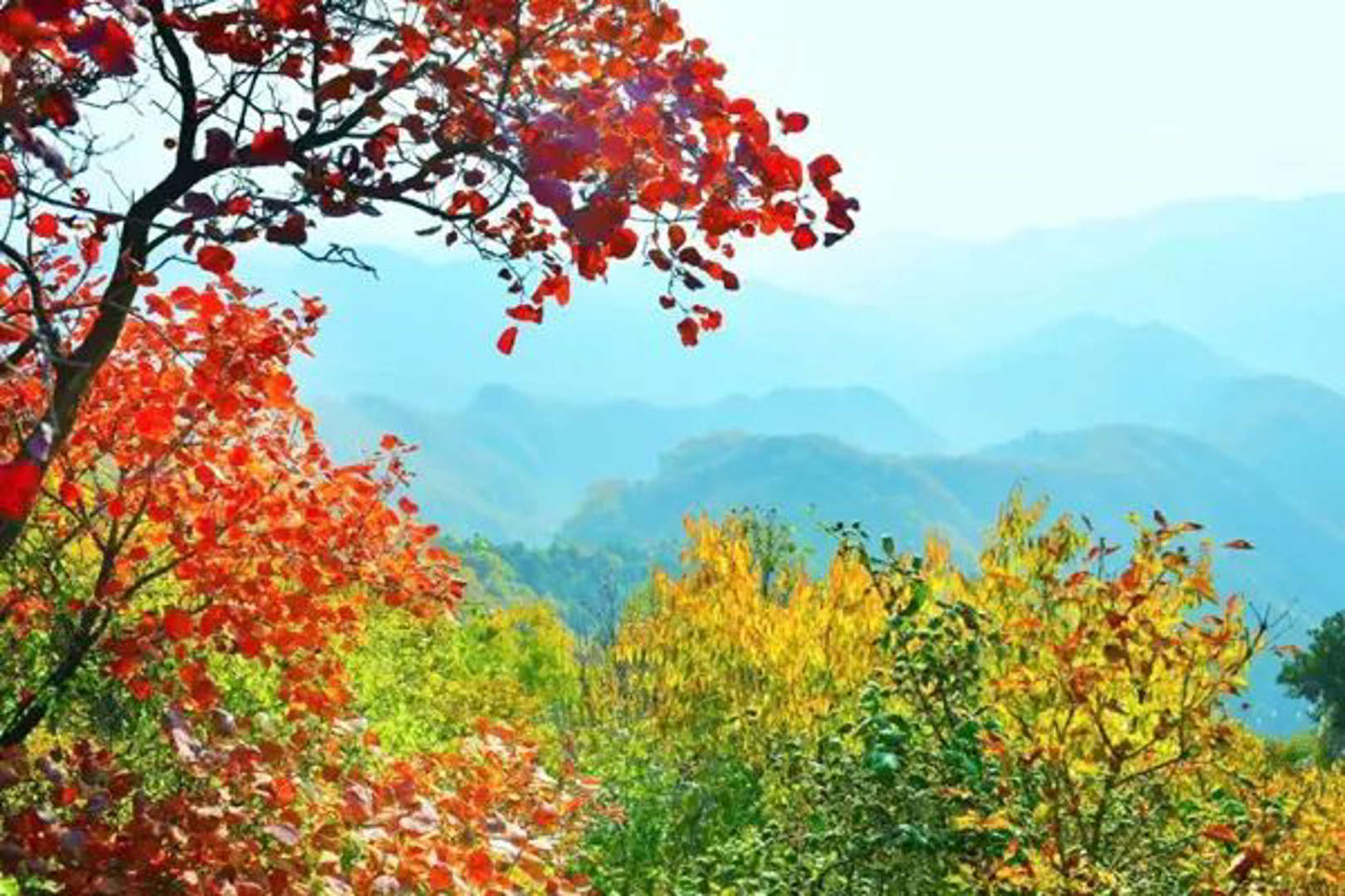 8首豪邁的秋日詩詞，一掃蕭瑟，愿你秋日無煩憂(圖8)