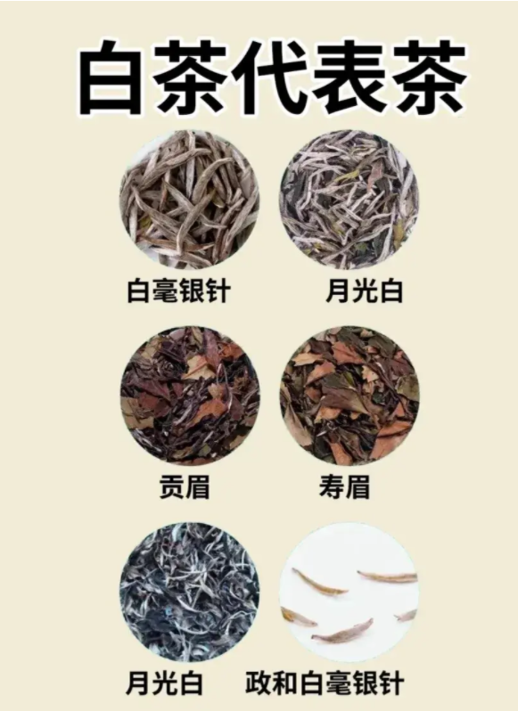 你會(huì)喝茶嗎？一文說(shuō)盡茶文化(圖5)