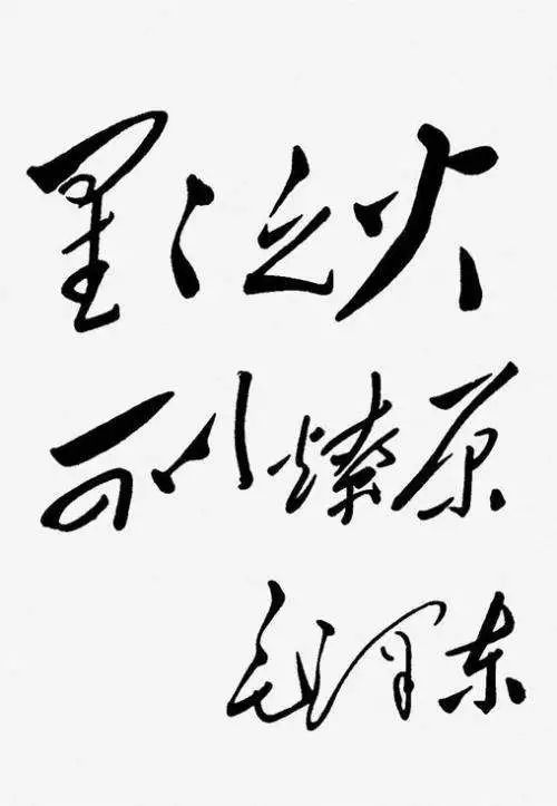 文物與軍史丨井岡山時期毛澤東著作的不同版本(圖2)