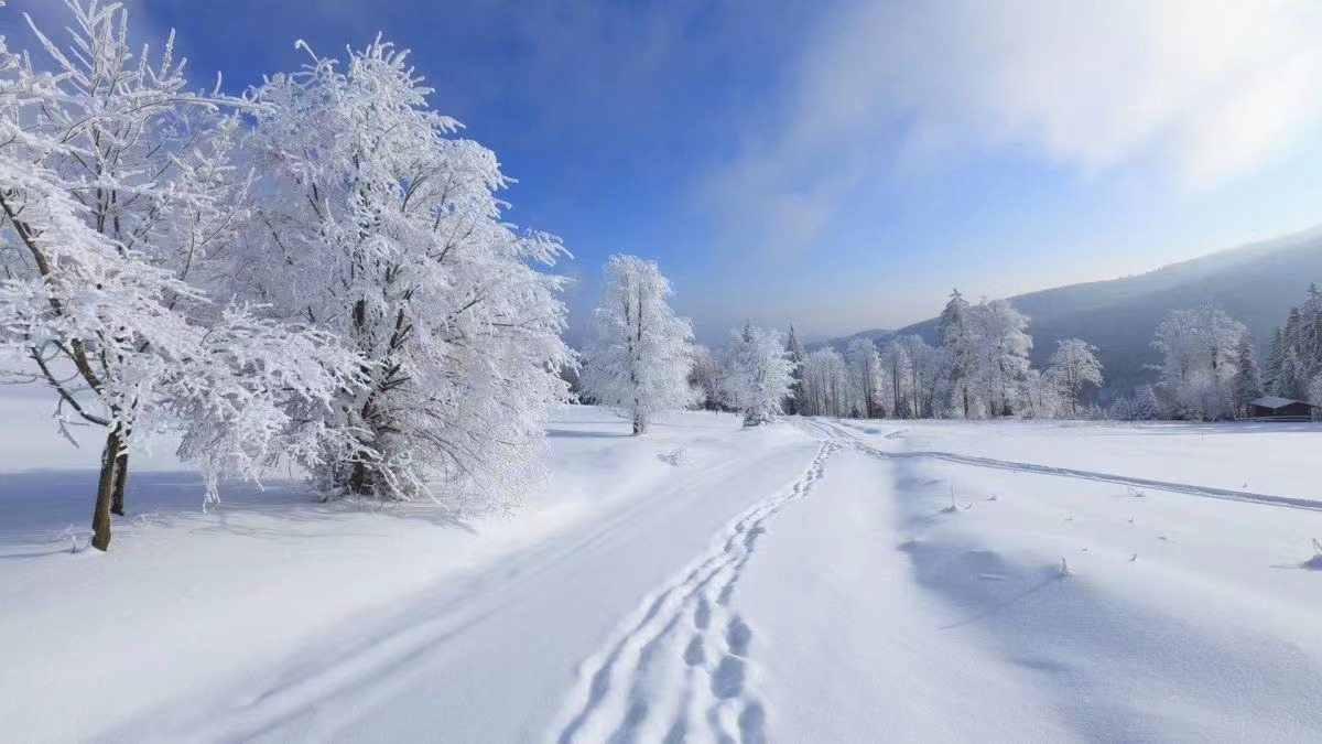 10首大雪詩詞，江南江北，大雪漫漫，每一首都很美(圖9)
