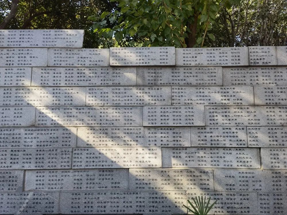12.13國(guó)家公祭日：昭昭前事，惕惕后人！勿忘國(guó)恥，吾輩自強(qiáng)！(圖12)