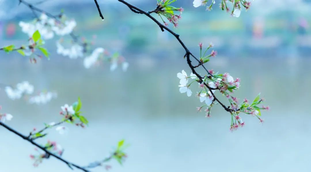風(fēng)流的他，寫下一首詞，最后14字刺痛無數(shù)人，連蘇軾也贊嘆不已(圖3)