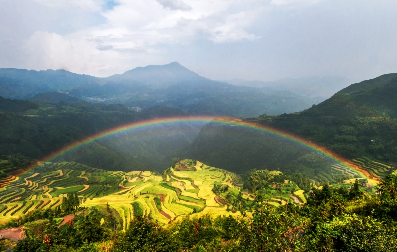 詩畫小舟山景區(qū)——梯田風(fēng)光.jpg 秀山麗水(圖4)