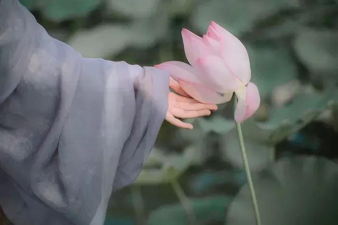始于初見，終于白頭(圖2)