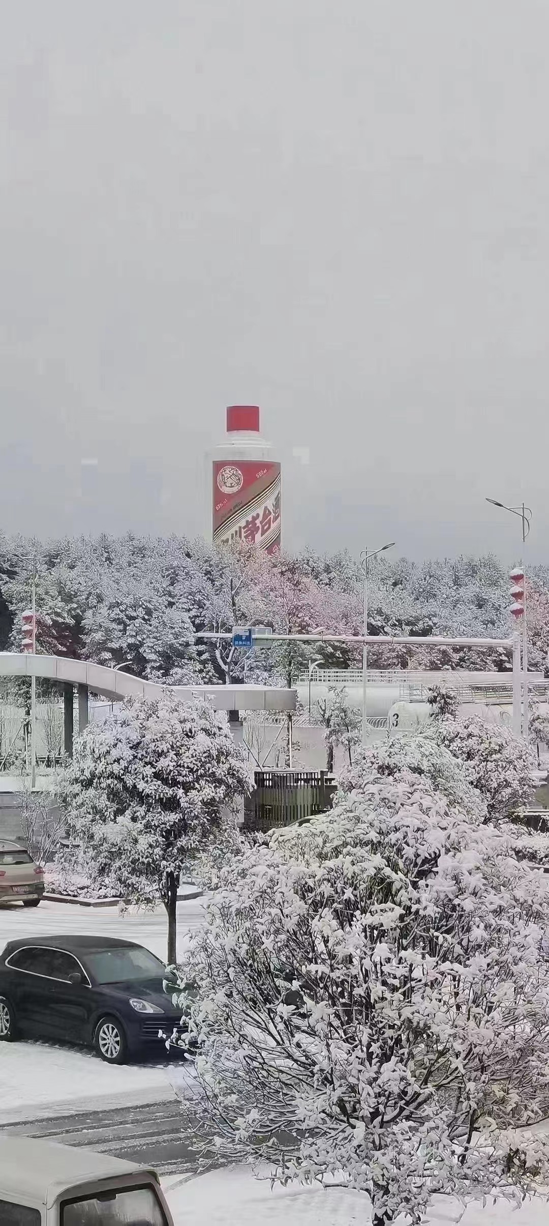 今日茅臺價格2024.1.22 飛天上漲！(圖4)