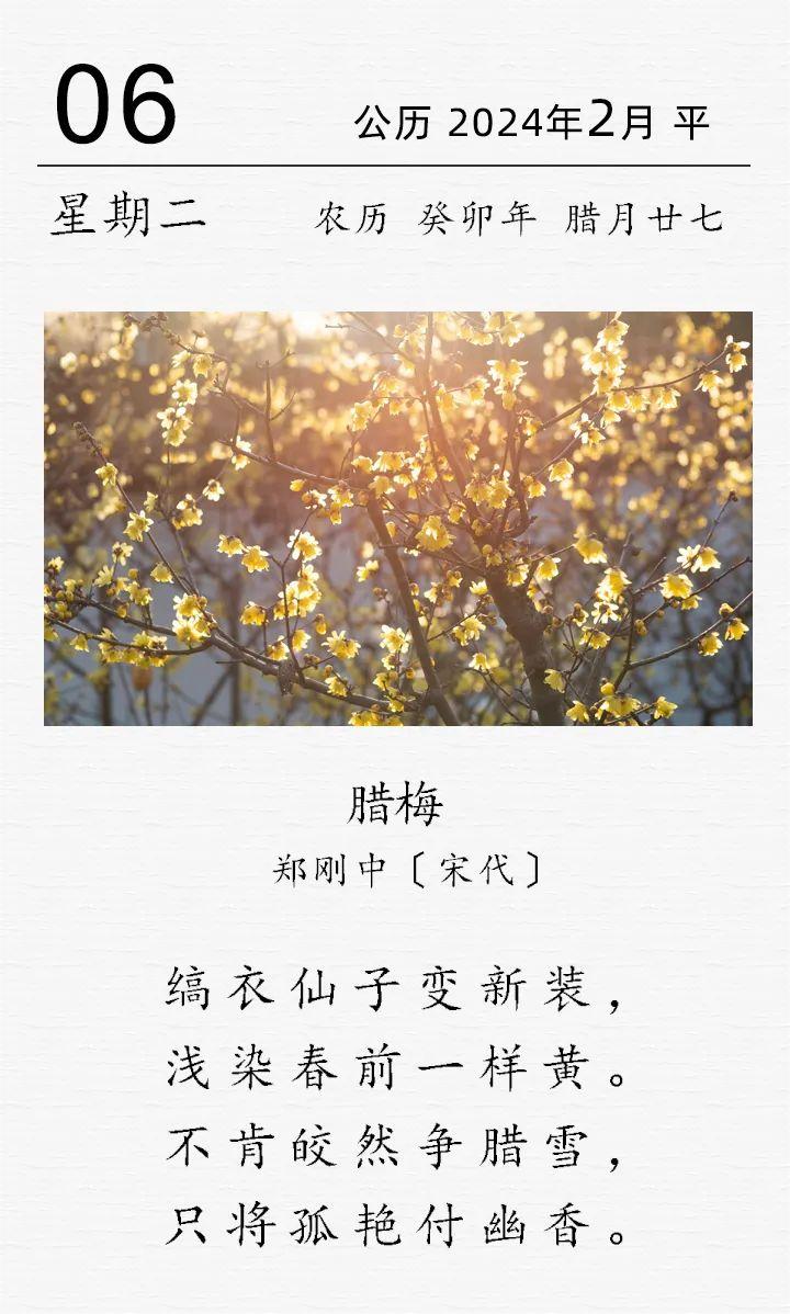鄭剛中《臘梅》.jpg 鄭剛中《臘梅》(圖1)