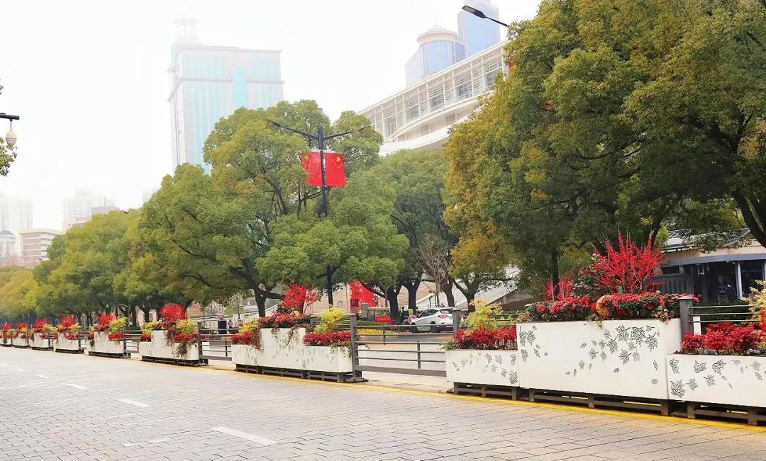 春節(jié)假期將至，上海街頭巷尾處處是花樣“年味”~來賞(圖13)