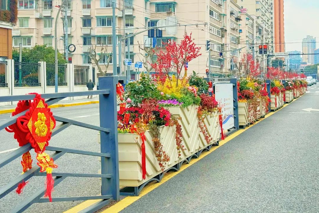春節(jié)假期將至，上海街頭巷尾處處是花樣“年味”~來賞(圖25)