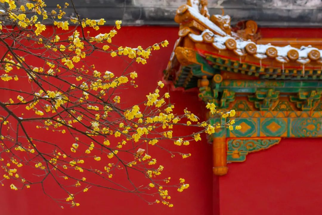 天寒酒不寒，余歲有清歡(圖1)