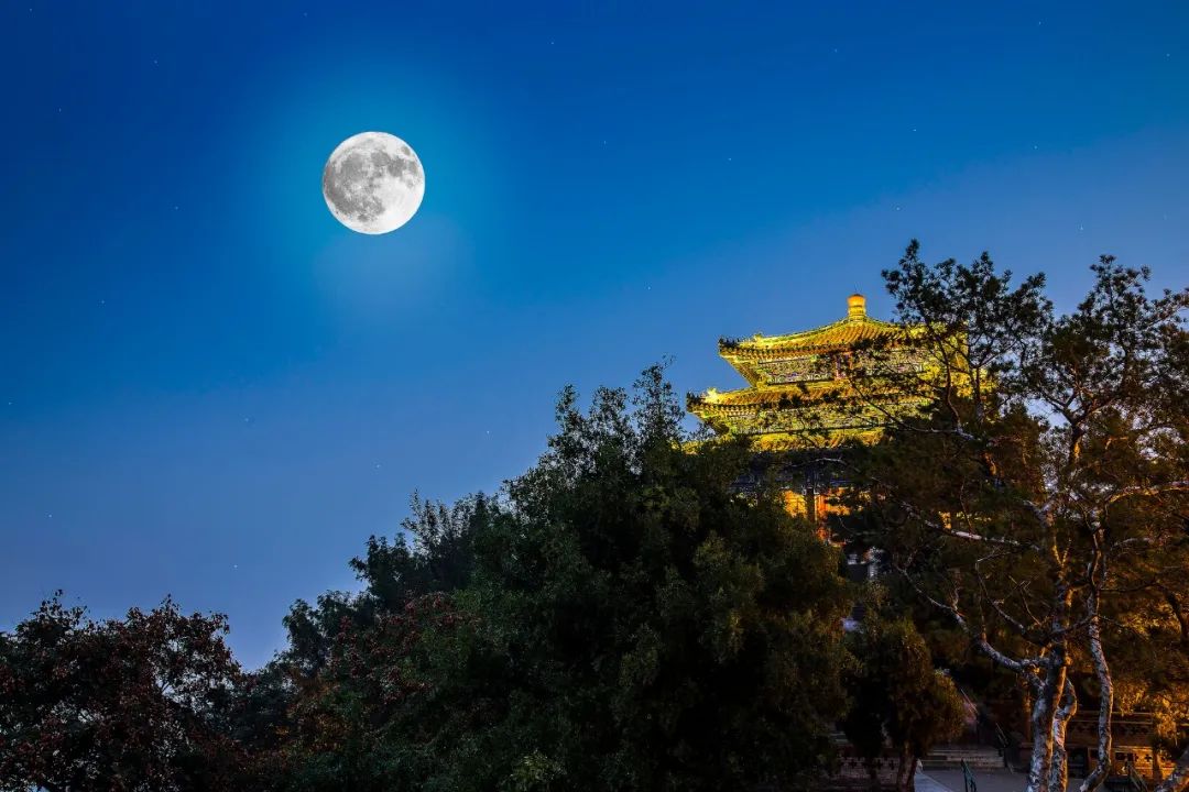 欲邀明月喝一場，醉臥花下又何妨(圖2)