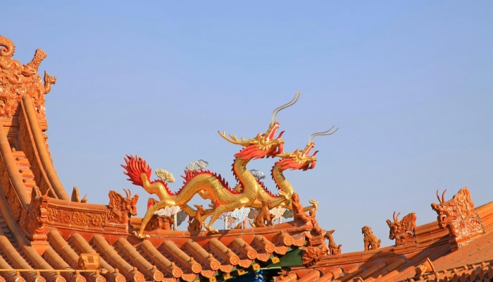 “雙龍?zhí)ь^”更吉祥？做5事沾龍氣(圖1)