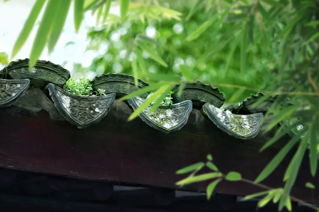一年之計在于春，莫負春光莫負自身(圖3)