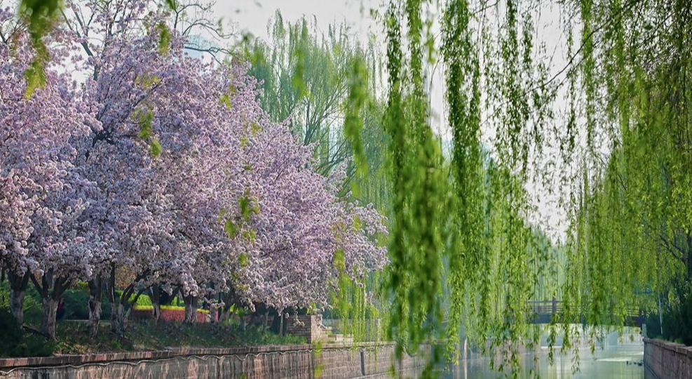 宋濂《觸景》(圖2) 宋濂《觸景》(圖2)